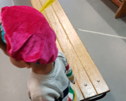 Sint en Piet in de gymzaal