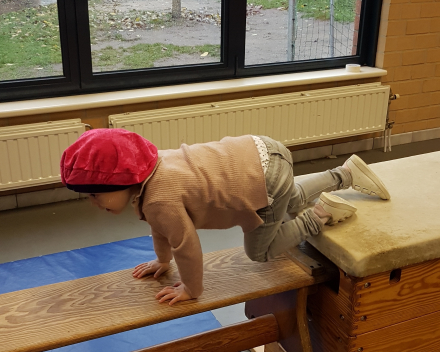 Sint en Piet in de gymzaal