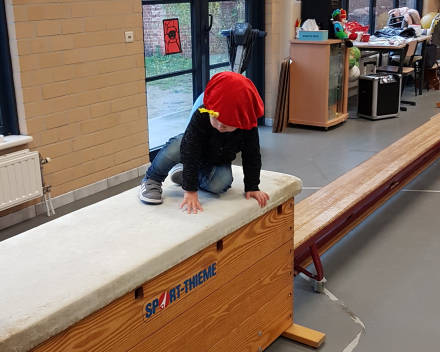 Sint en Piet in de gymzaal