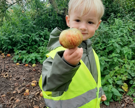 Thema fruit in de klas