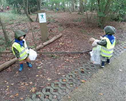 Naar het bos 