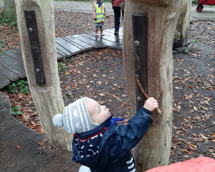 Naar het bos 