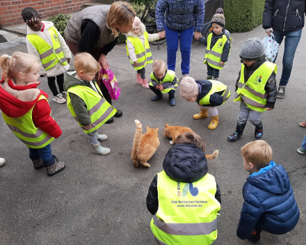 Naar de boerderij 