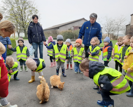 Naar de boerderij 