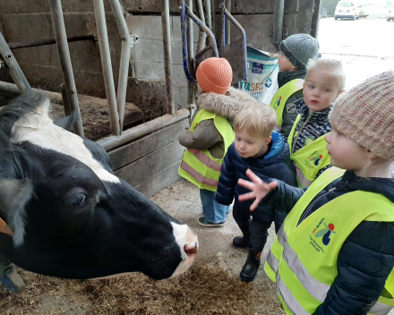 Naar de boerderij 