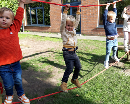 Spelen op het nieuwe apen parcours.