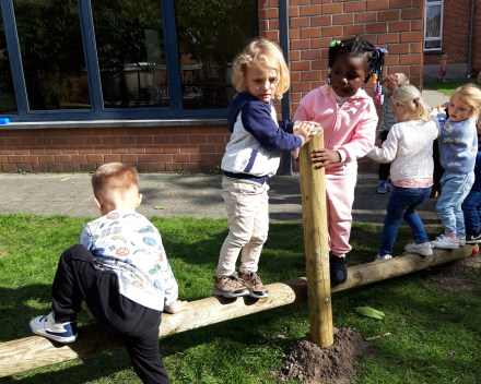 Spelen op het nieuwe apen parcours.