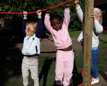 Spelen op het nieuwe apen parcours.