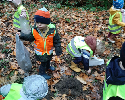 Op stap naar het bos