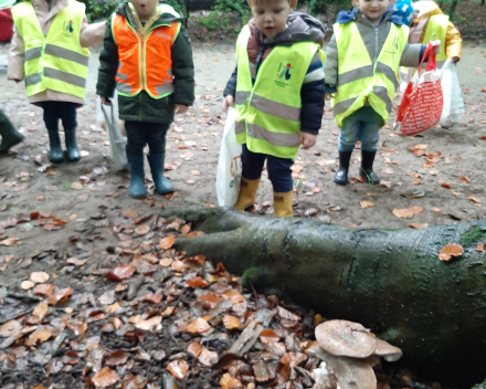 Op stap naar het bos