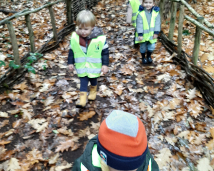 Op stap naar het bos