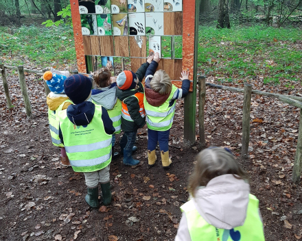 Op stap naar het bos