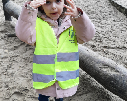 Op stap naar het bos