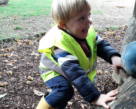 Op stap naar het bos