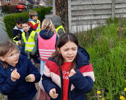 Lente wandeling 