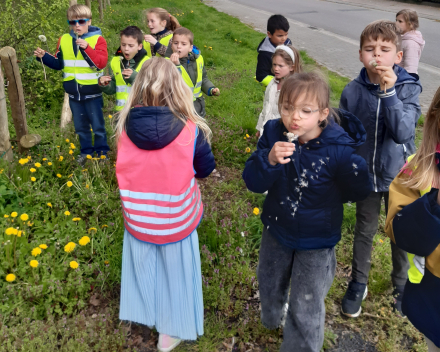 Lente wandeling 