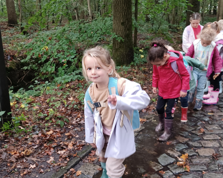 Uitstap naar het bos