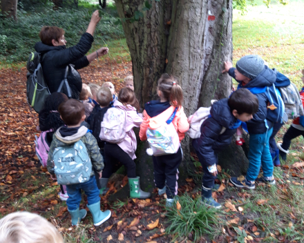 Op ontdekking in het bos