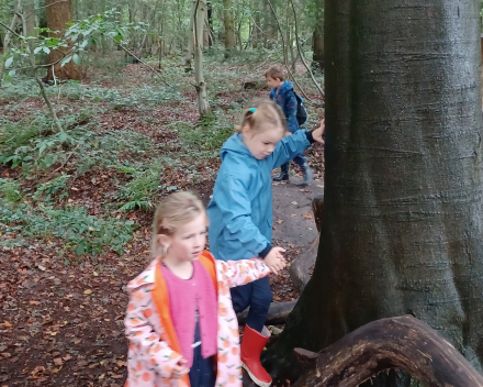 Uitstap naar het bos