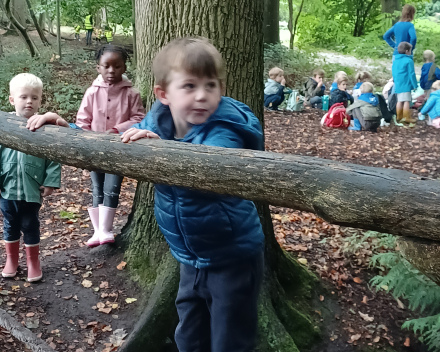 Uitstap naar het bos