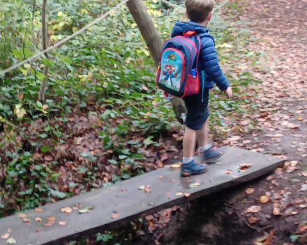 Uitstap naar het bos