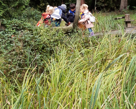 Op ontdekking in het bos