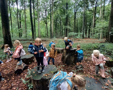 Uitstap naar het bos