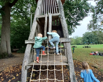 Uitstap naar het bos