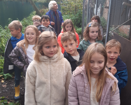 Het tweede leerjaar op uitstap naar het bos 