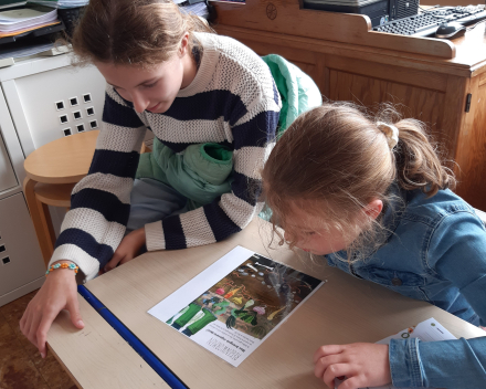 Zesdeklassers helpen in het tweede leerjaar 
