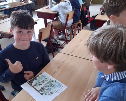 Zesdeklassers helpen in het tweede leerjaar 