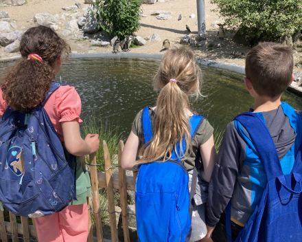 Schoolreis naar Planckendael 