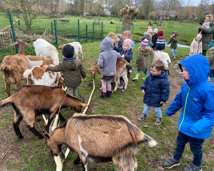 Op uitstap naar de kinderboerderij.