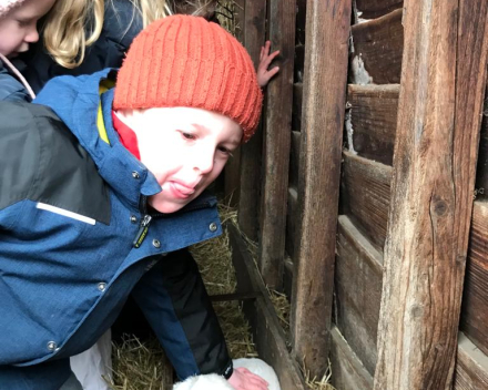 Op uitstap naar de kinderboerderij.