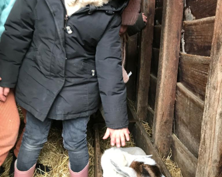 Op uitstap naar de kinderboerderij.