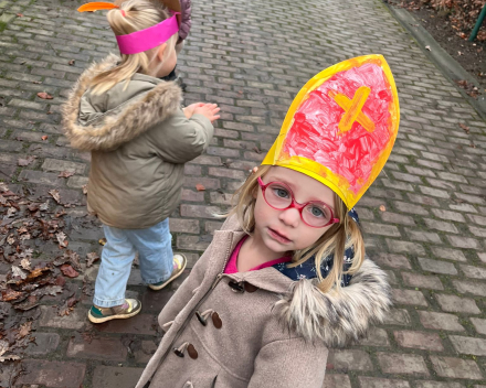 Dank u wel, Sinterklaas!