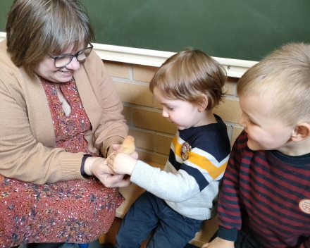 Thema kippen en kuikentjes. Kuikentjes op bezoek in de klas 🐥