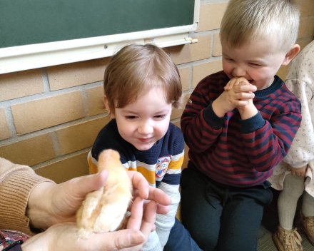 Thema kippen en kuikentjes. Kuikentjes op bezoek in de klas 🐥