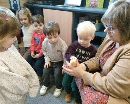 Thema kippen en kuikentjes. Kuikentjes op bezoek in de klas 🐥