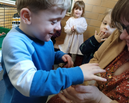 Thema kippen en kuikentjes. Kuikentjes op bezoek in de klas 🐥