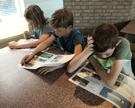 Les over de dode hoek.