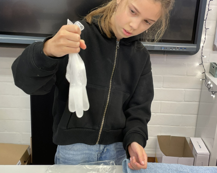 Proefjes in de klas!