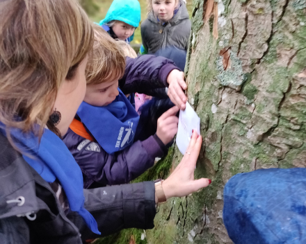 Een dag vol belevenissen in het bos!😄