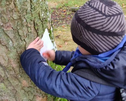 Een dag vol belevenissen in het bos!😄