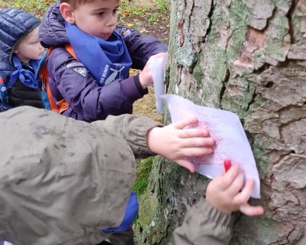 Een dag vol belevenissen in het bos!😄