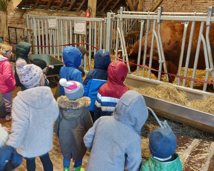 Op uitstap naar de kinderboerderij.