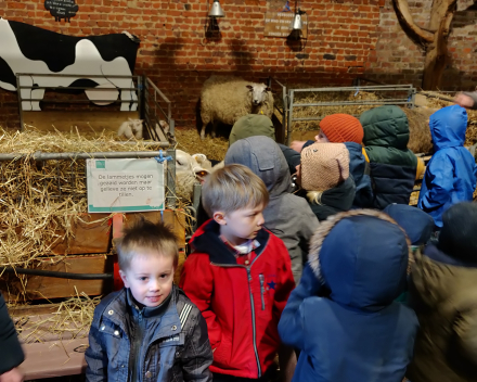 Op uitstap naar de kinderboerderij.