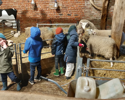 Op uitstap naar de kinderboerderij.