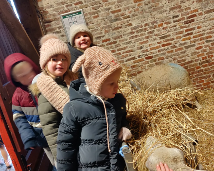 Op uitstap naar de kinderboerderij.