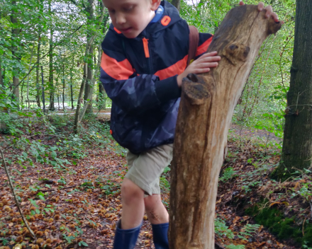 Een heerlijke dag in het bos, vol leuke belevenissen.